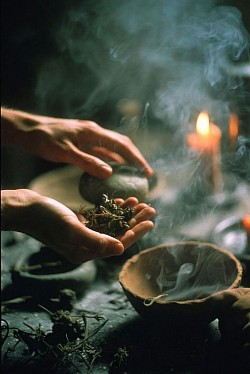 Herbal medicine's treatment